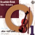 Violin Orchestra